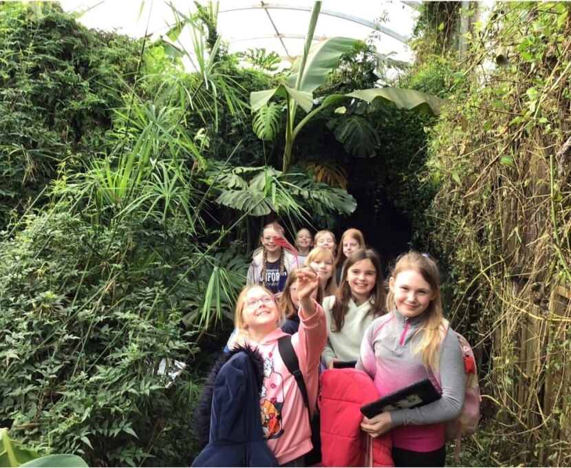 zoo 3