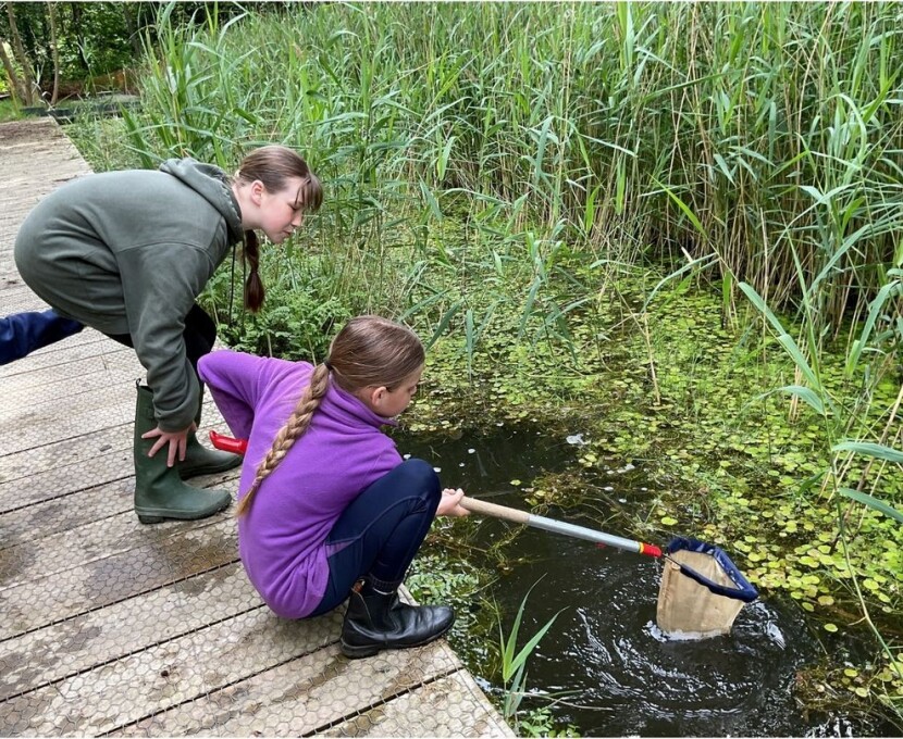 pond dipping v 1