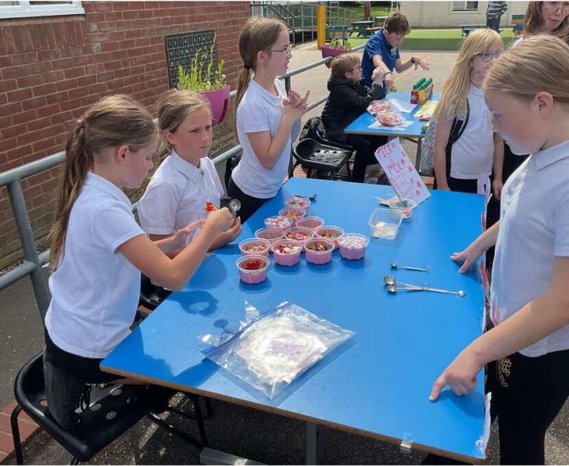 yr 6 enterprise 1