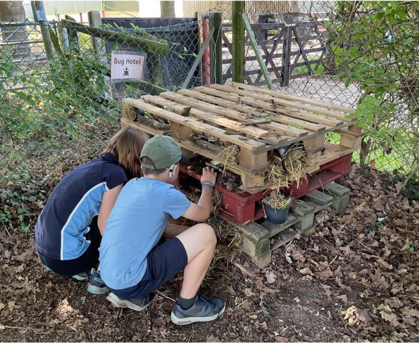 Bug hotel pic