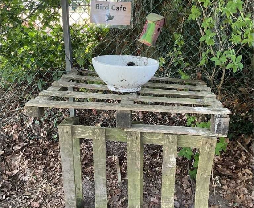 bird cafe pic