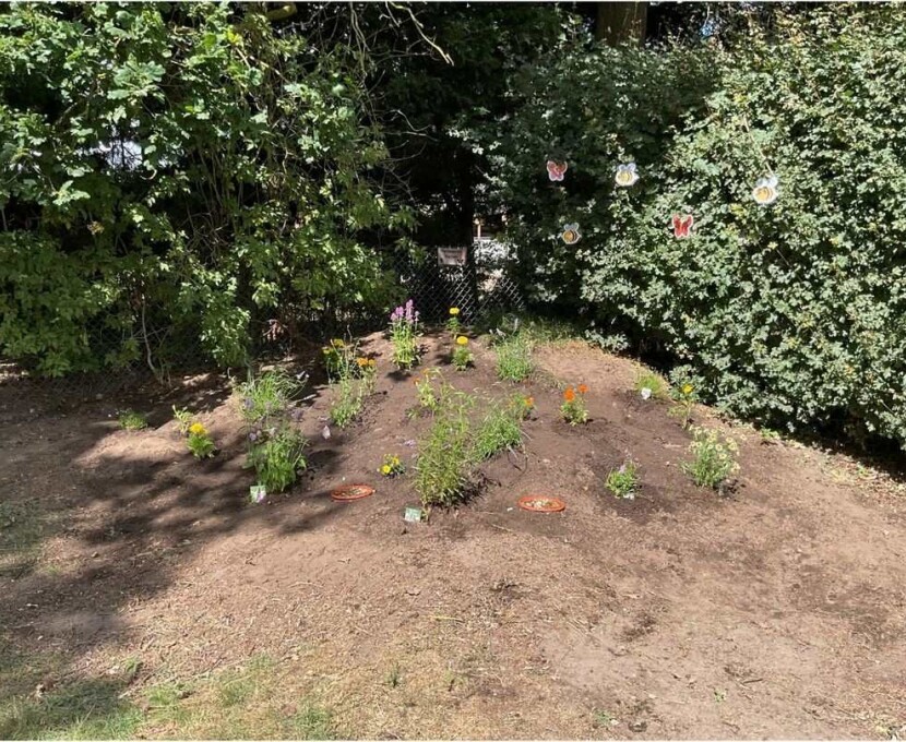 butterfly garden pic